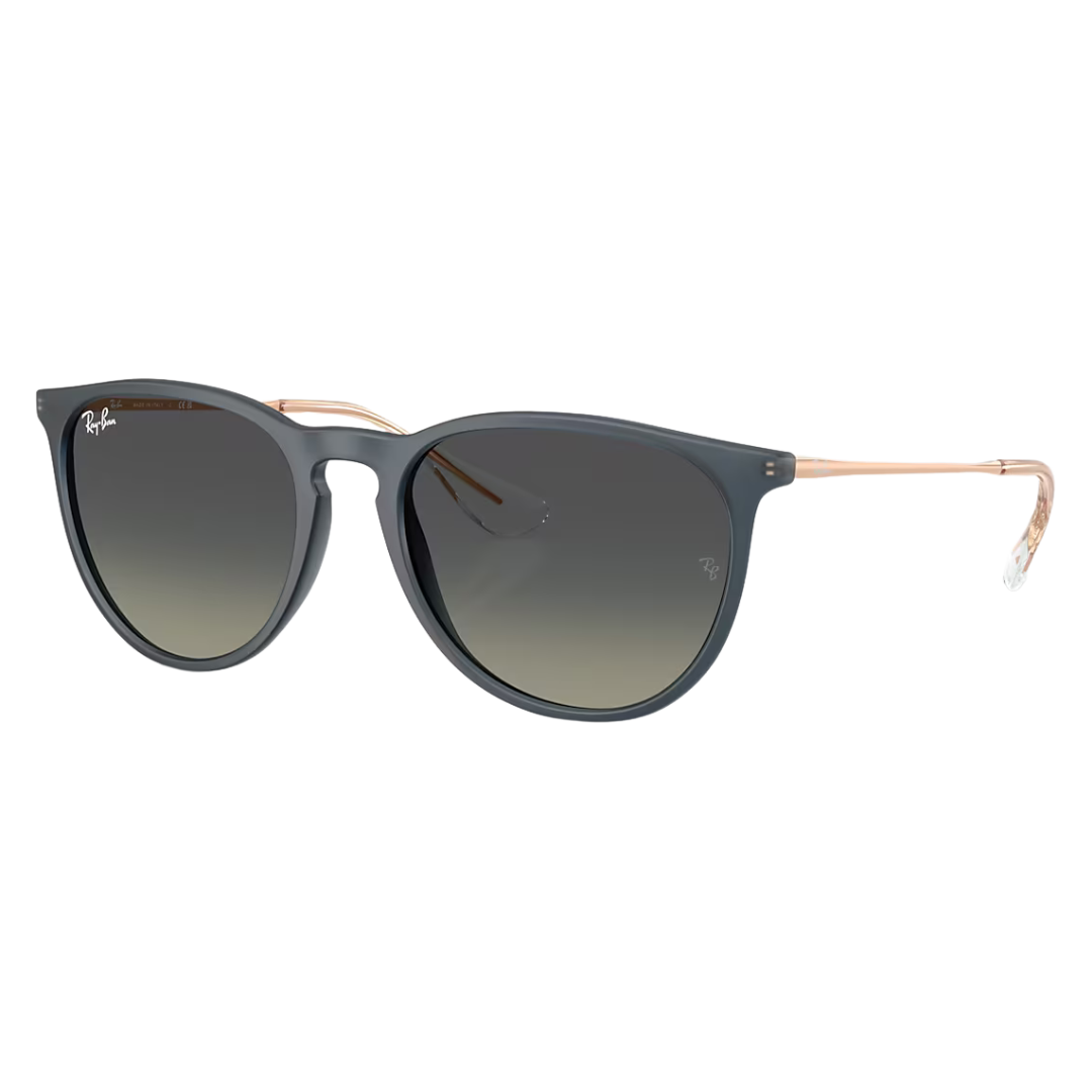 RAYBAN ERIKA LARGE