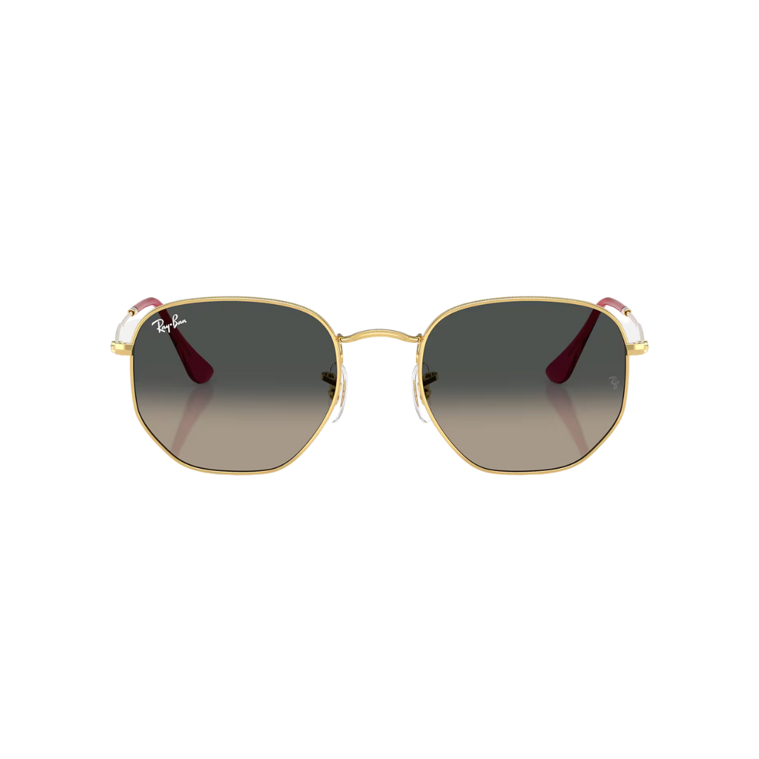 RAYBAN HEXAGONAL FLAT LENSES