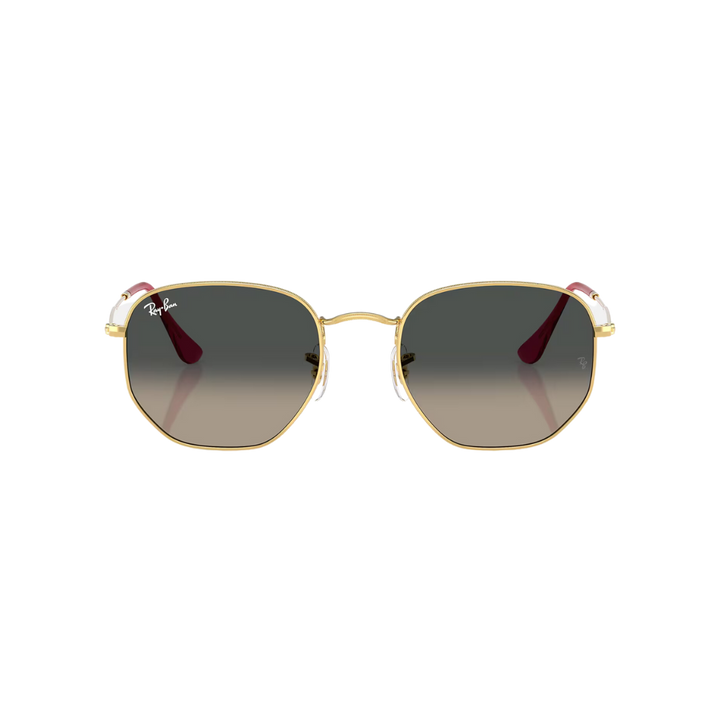 RAYBAN HEXAGONAL FLAT LENSES