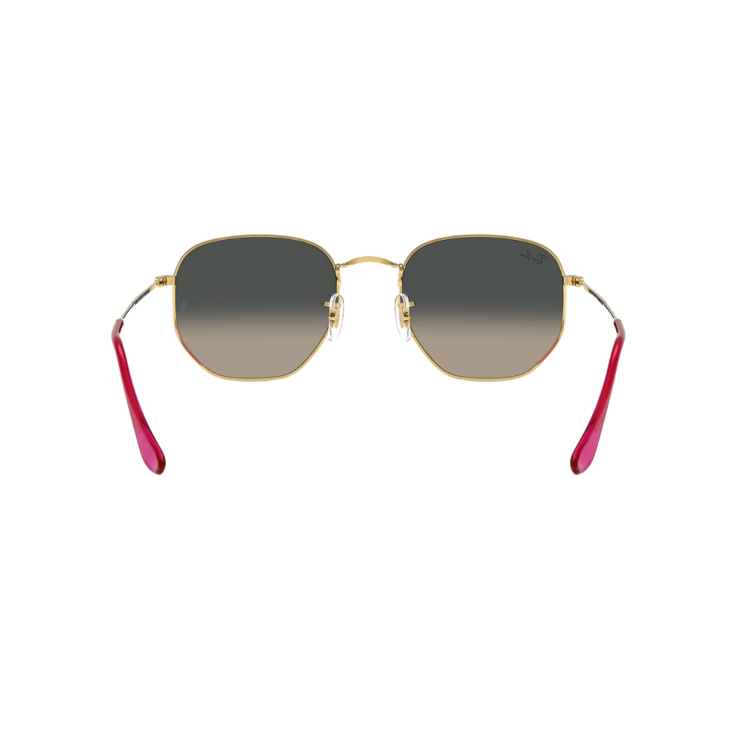 RAYBAN HEXAGONAL FLAT LENSES