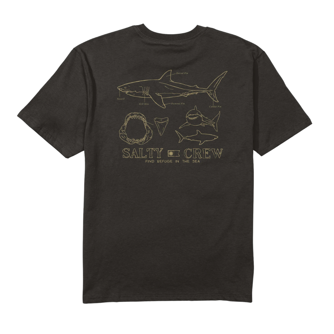 SALTY CREW GREAT WHITE TEE