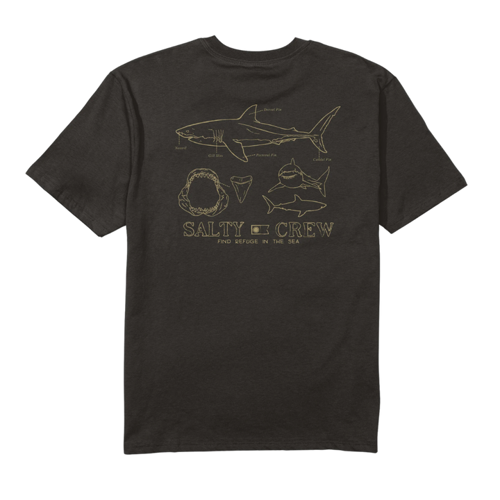 SALTY CREW GREAT WHITE TEE