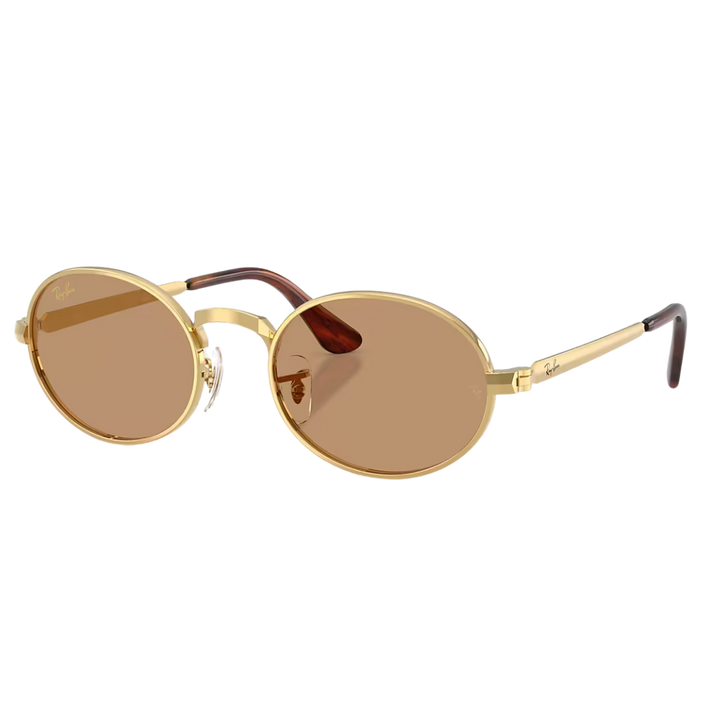 RAY-BAN RB3931 BY ASAP ROCKY