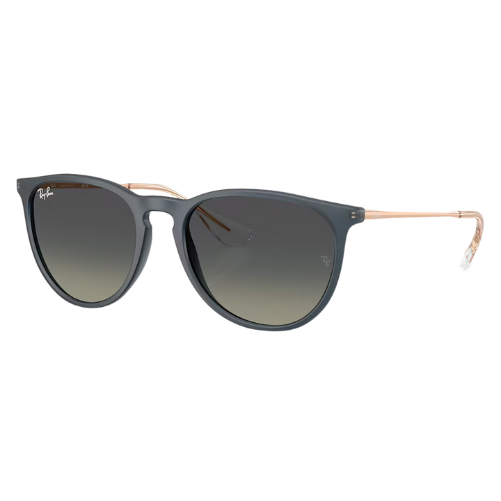 RAYBAN ERIKA LARGE