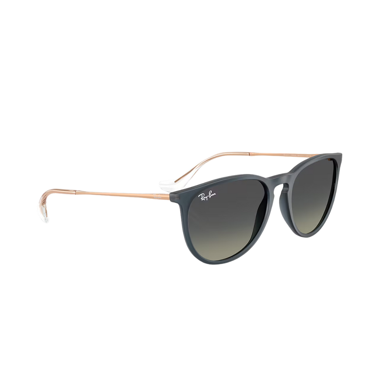 RAYBAN ERIKA MEDIUM