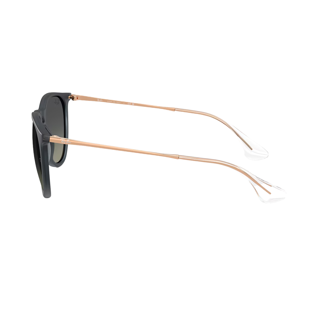 RAYBAN ERIKA LARGE