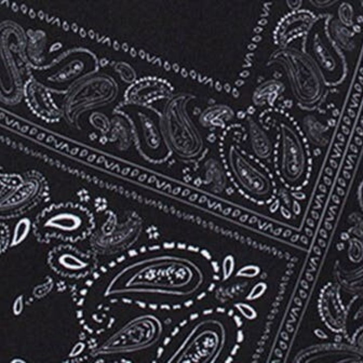 RVCA VA TRUNK