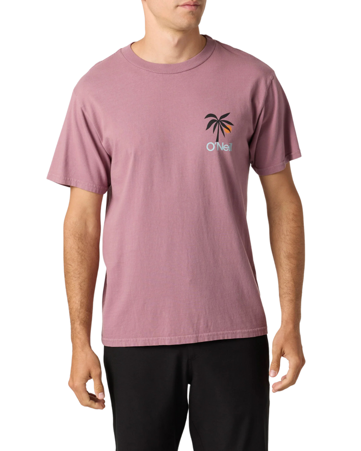 O'NEILL OG DUSK TEE