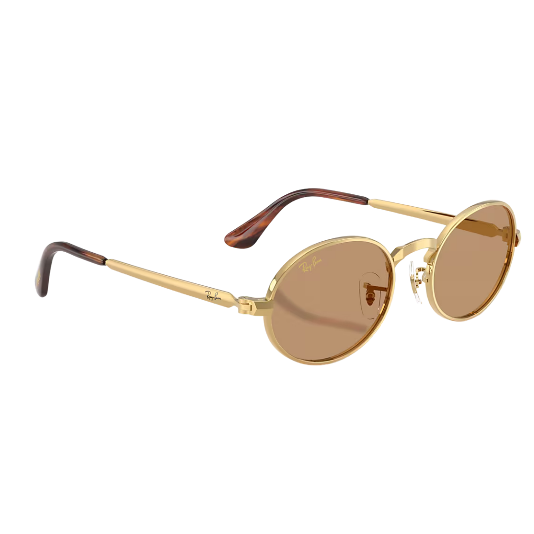 RAY-BAN RB3931 BY ASAP ROCKY