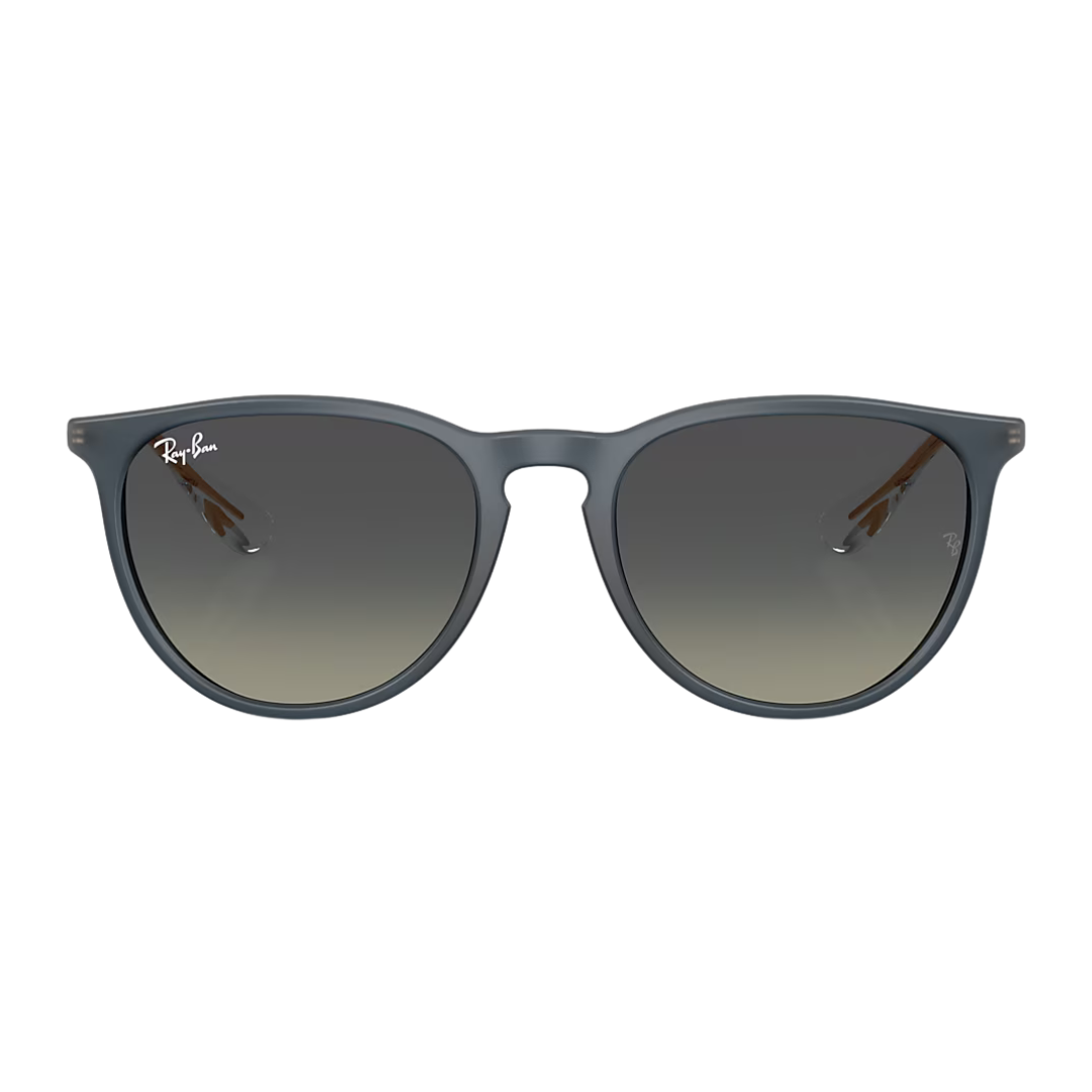 RAYBAN ERIKA LARGE