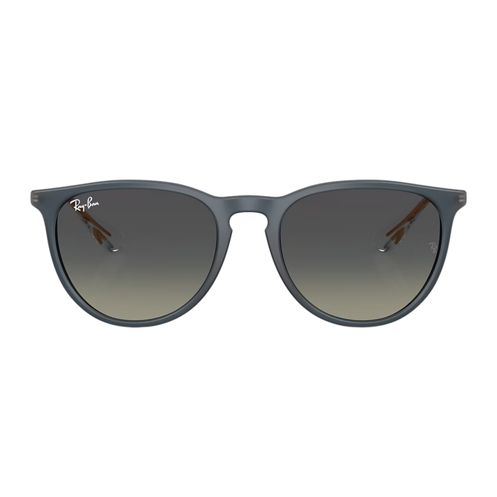 RAYBAN ERIKA LARGE