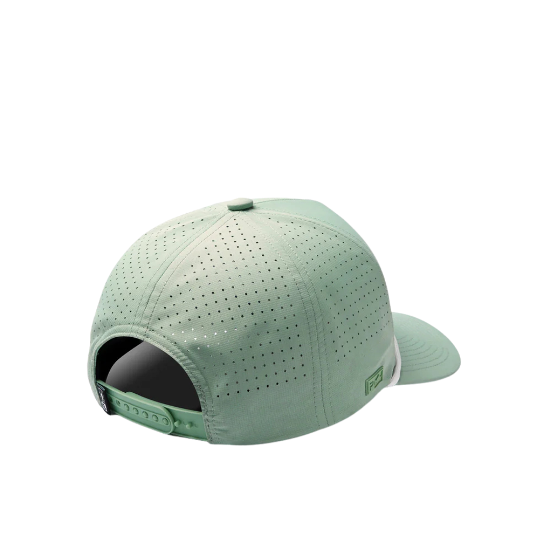PELAGIC UPSWELL