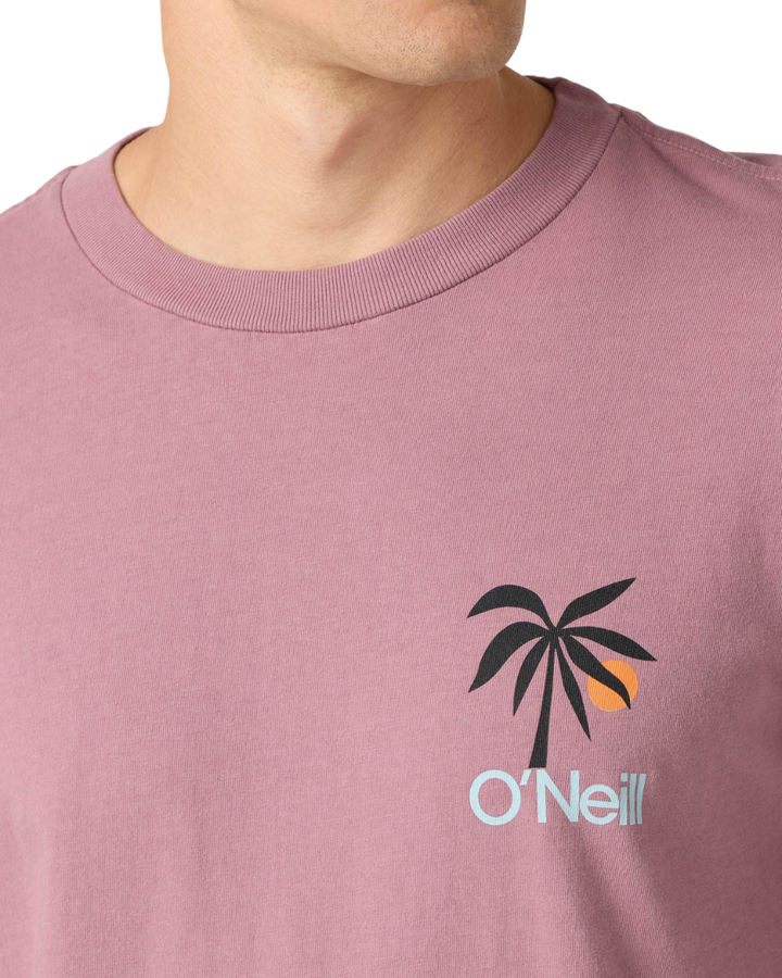 O'NEILL OG DUSK TEE