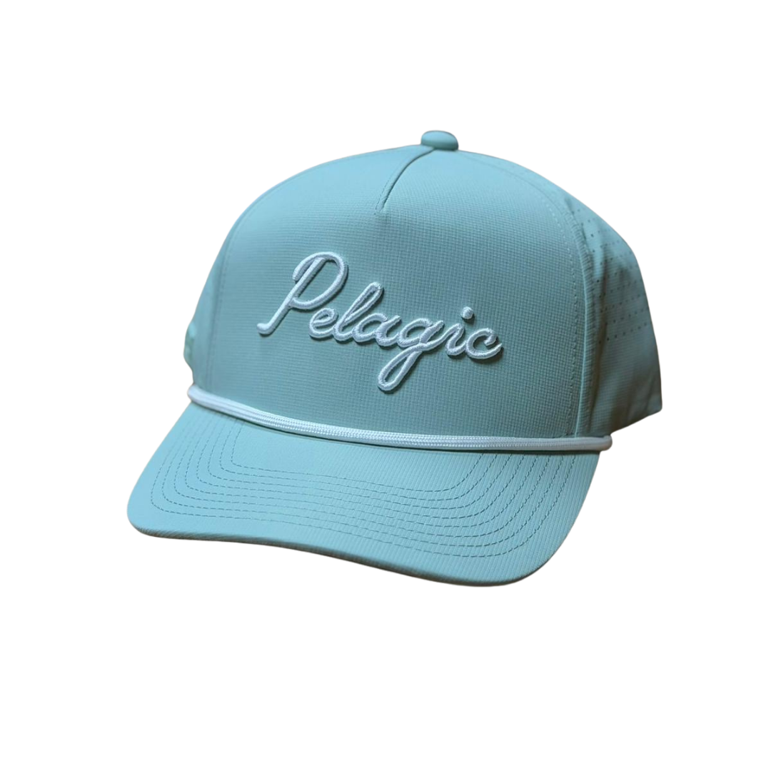 PELAGIC UPSWELL LINES IN