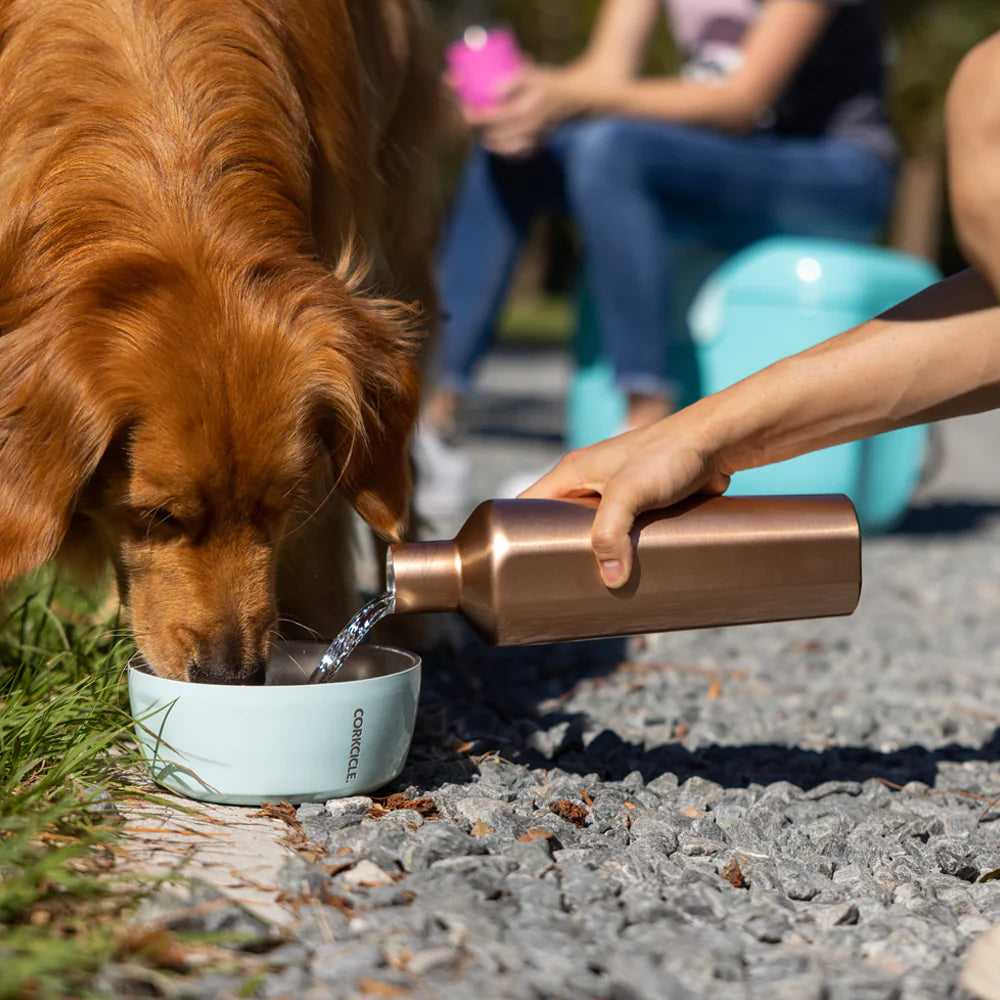 CORKCICLE DOG BOWL