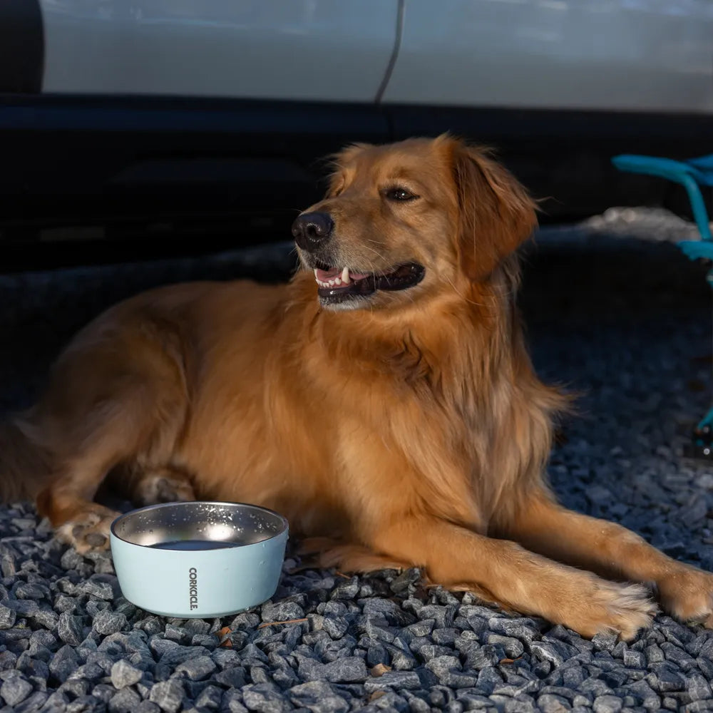 CORKCICLE DOG BOWL